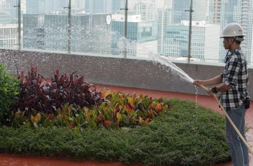 把中國(guó)沿海城市打造成海綿城市 把中國(guó)沿海城市打造成海綿城市