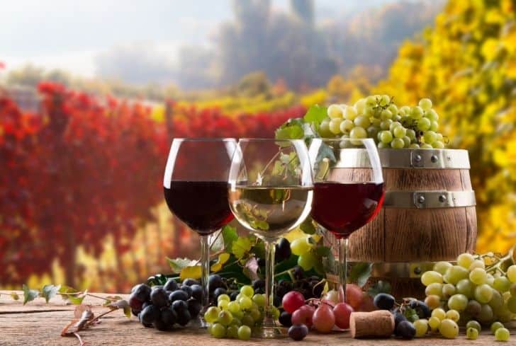 酒杯是怎么回收的？