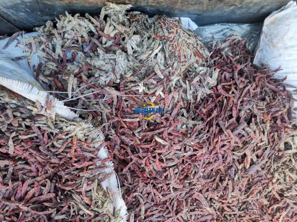 案例|某公司海關產品銷毀 案例|某公司海關產品銷毀